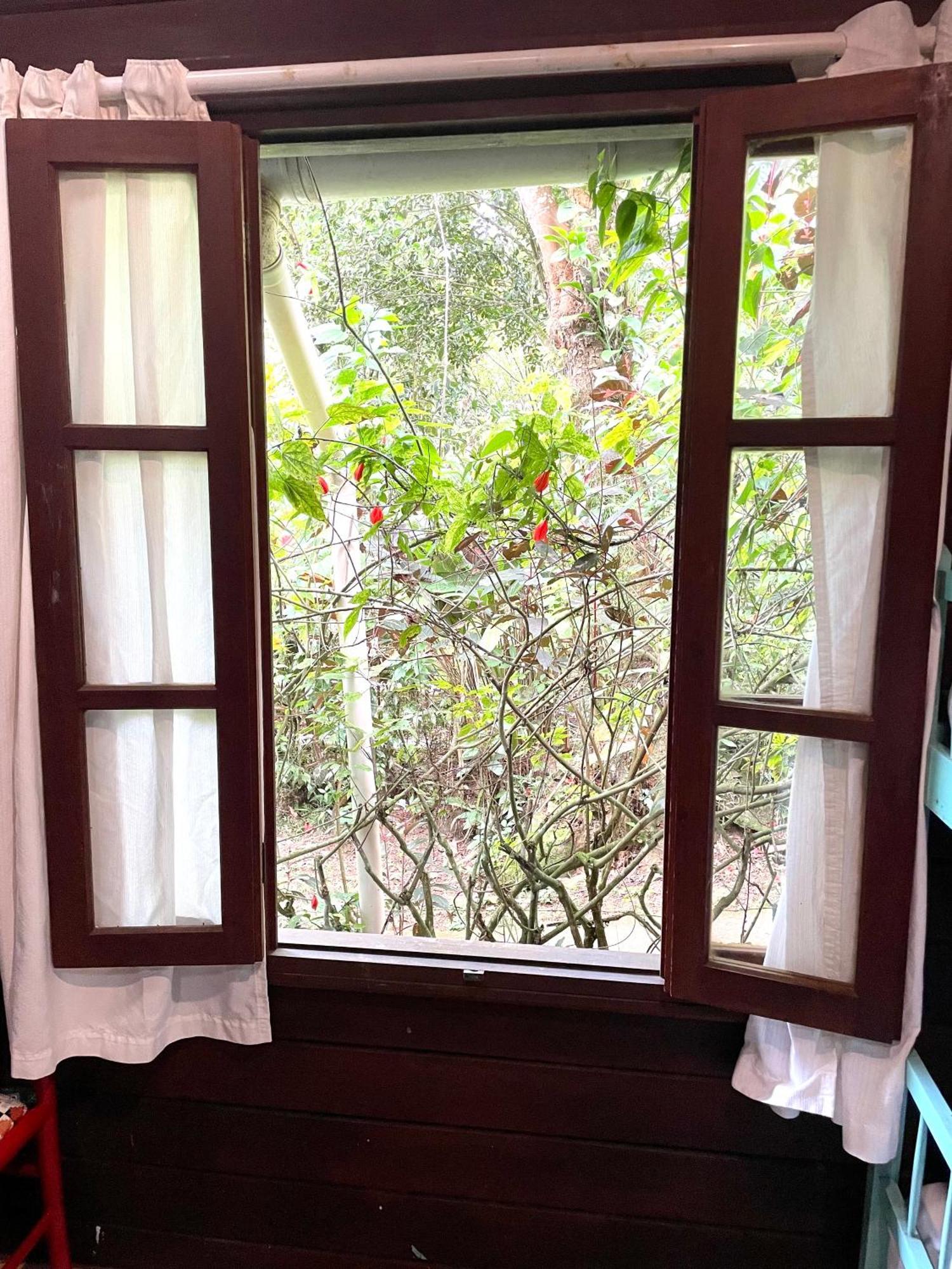 Casa Selva - Vila Do Abraao - Ilha Grande Екстериор снимка